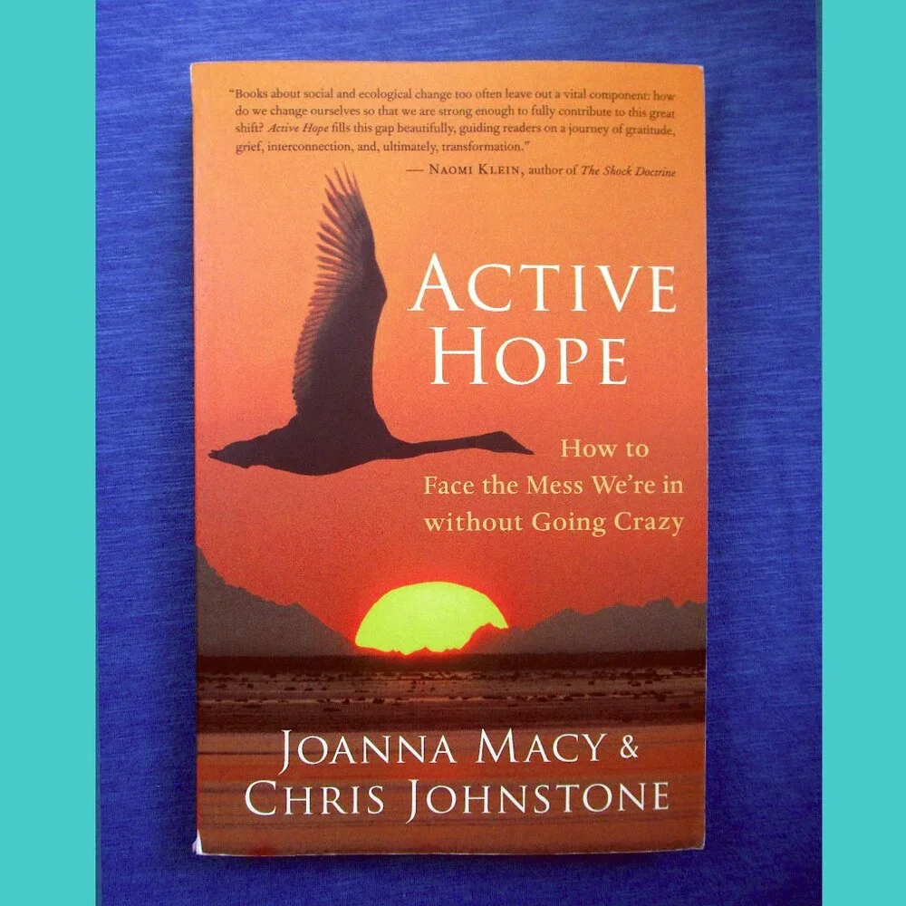 Book - Active Hope: How to Face the Mess We're in Without Going Crazy - Picture 1 of 16